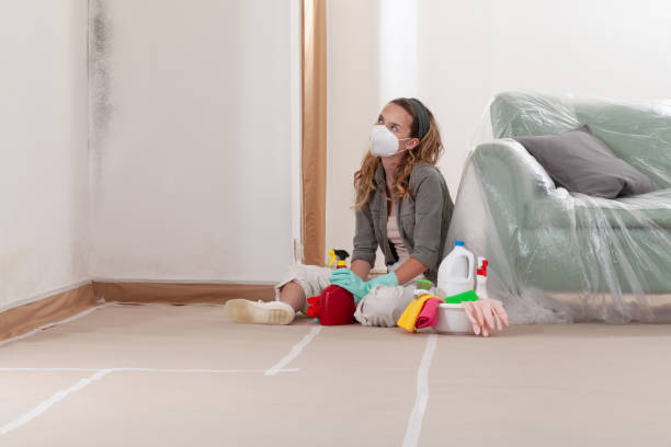 Reliable Black Mold Remediation contractor in Bristow, VA by Car Mold Remediation